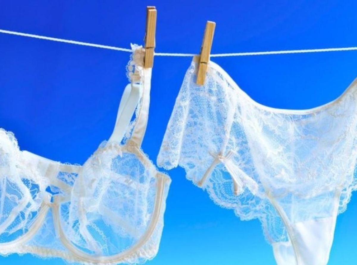 Bangladesh Lingerie and shapewear exports: US market,Jan 22 report